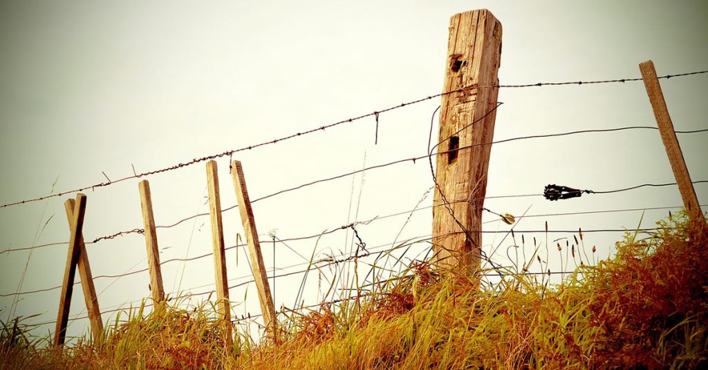 Bob wire and shop the fence posts