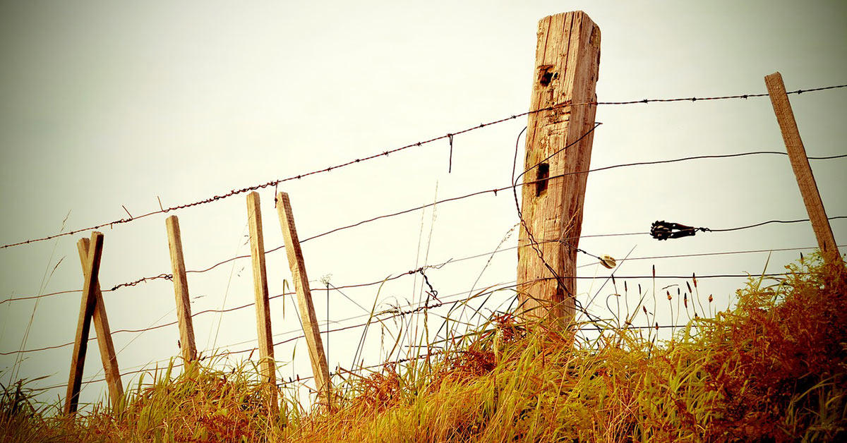 Barbed wire shop and fence posts