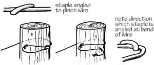 Fencing_2012_text_Page_048_Image_0001 Stapling wire to a straining post