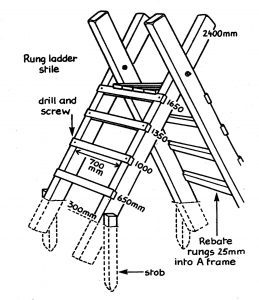 Rung-ladder stile