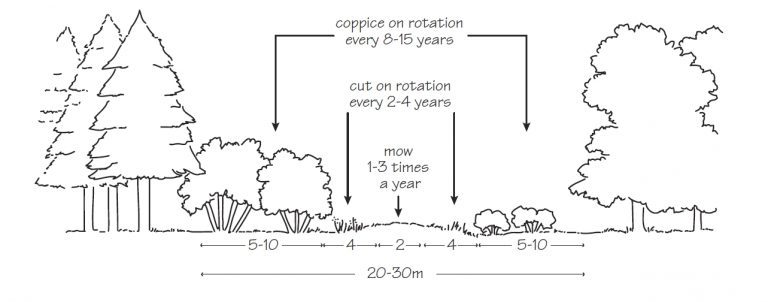 Why fell trees? - TCV Practical Conservation Handbooks