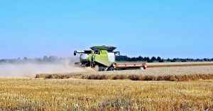 A combine harvester working in a field of wheat