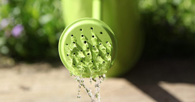 A watering can